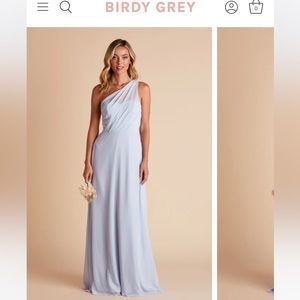 Birdie Grey Kira Dress Chiffon Ice Blue